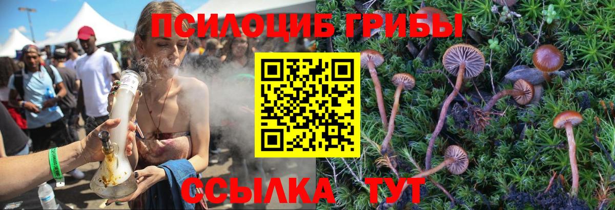 Псилоцибиновые грибы Psilocybine cubensis  Вход с VPN  что такое наркотик  Аксай  Псилоцибиновые грибы Psilocybe 